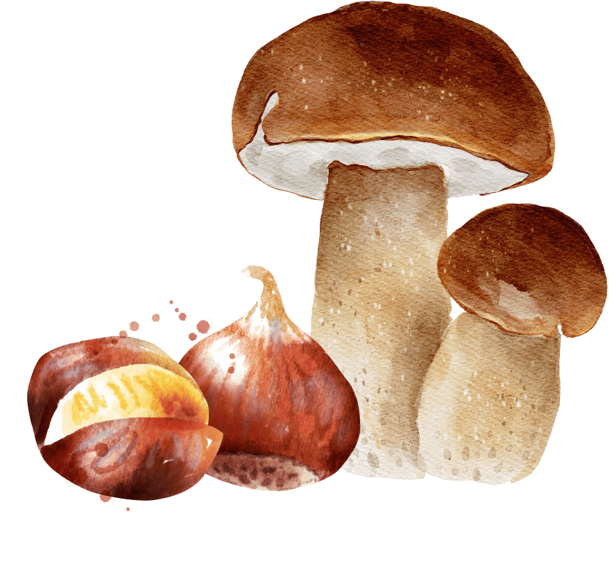 Bien-%C3%AAtre%20naturel%20-%20element%207%20(1)