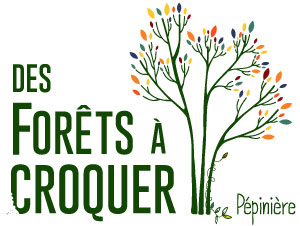 Logo_ForetCroquer