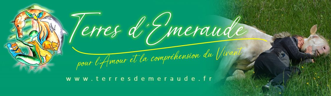logo%20Terres%20Emeraude