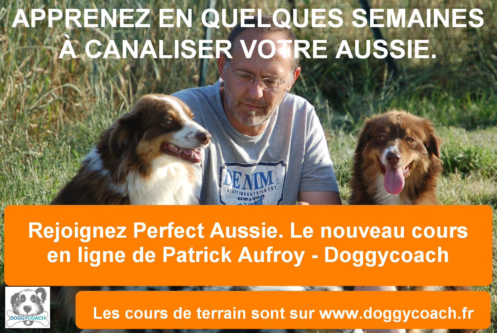 Patrick%20et%20ses%20bergers%20australiens