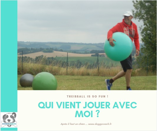 Patrick Aufroy Doggycoach au treibball – Video en direct du terrain Patrick Aufroy Doggycoach au treibball – Video en direct du terrain