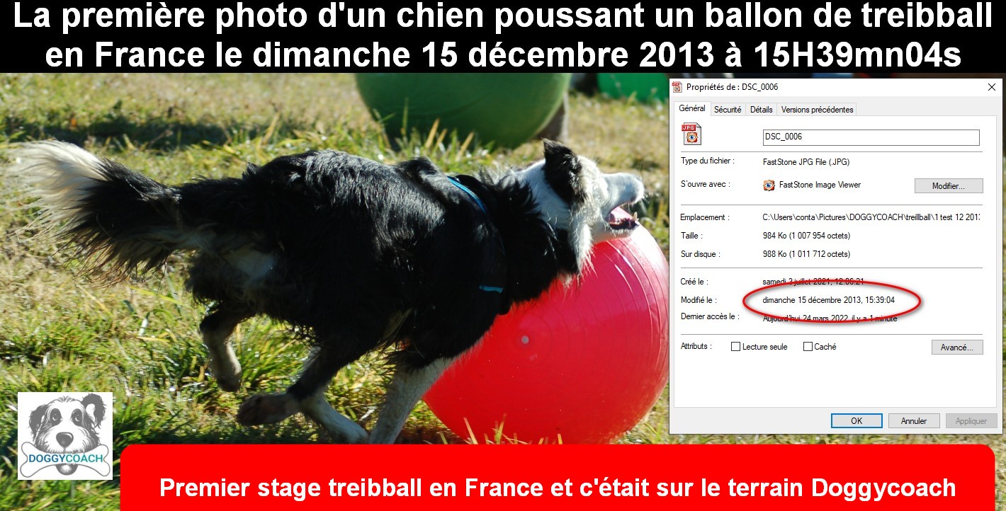 Treibball en France le site de référence Treibball en France le site de référence