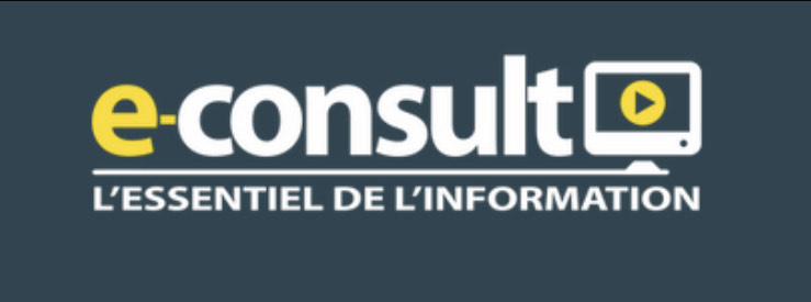 Logo%20E%20consult%20-%20Copie
