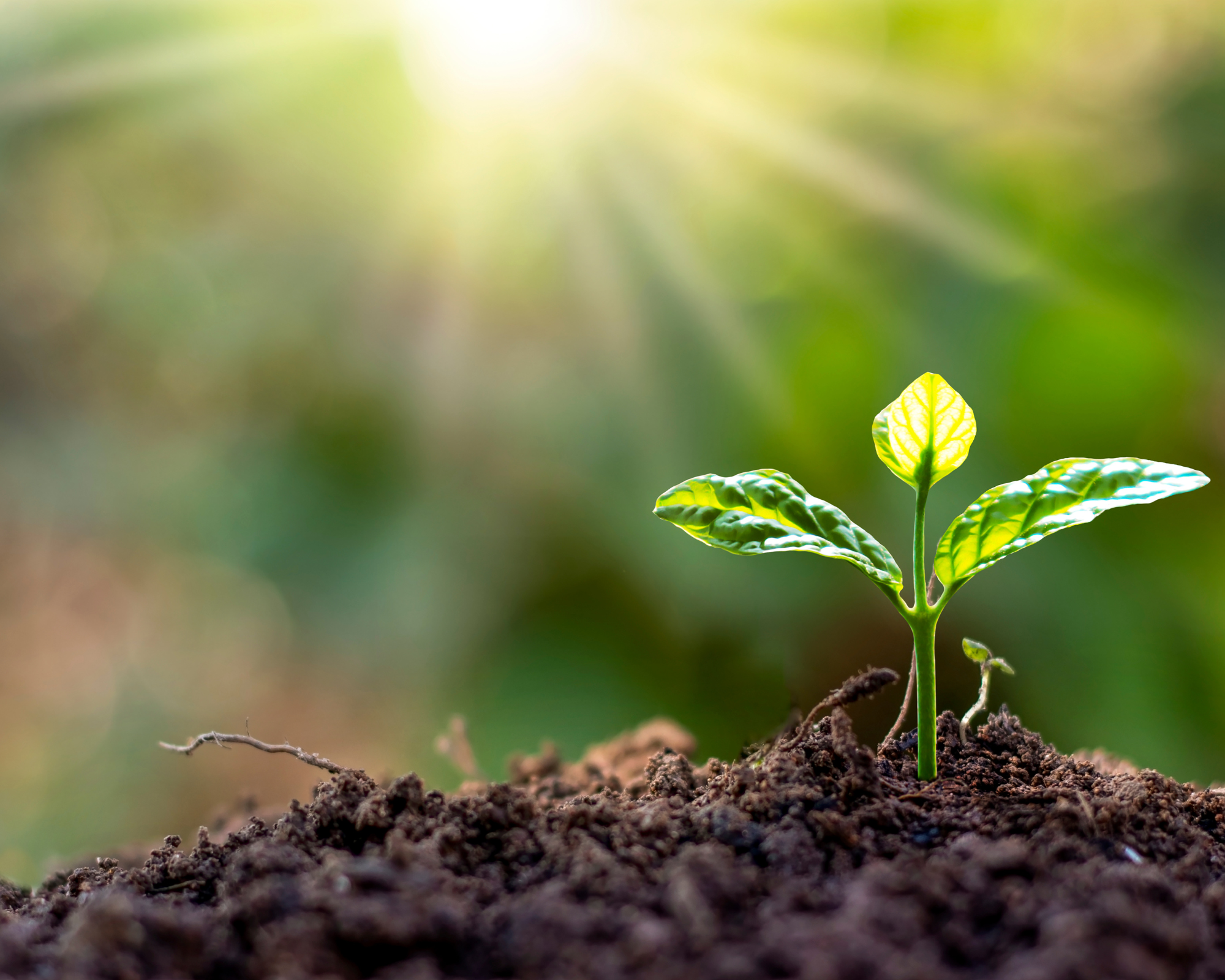 Montage%20photo%20bleu%20et%20cr%C3%A8me%20de%20voyage%20%20de%20projets%20de%20vacances%20Collage%20photo(1)