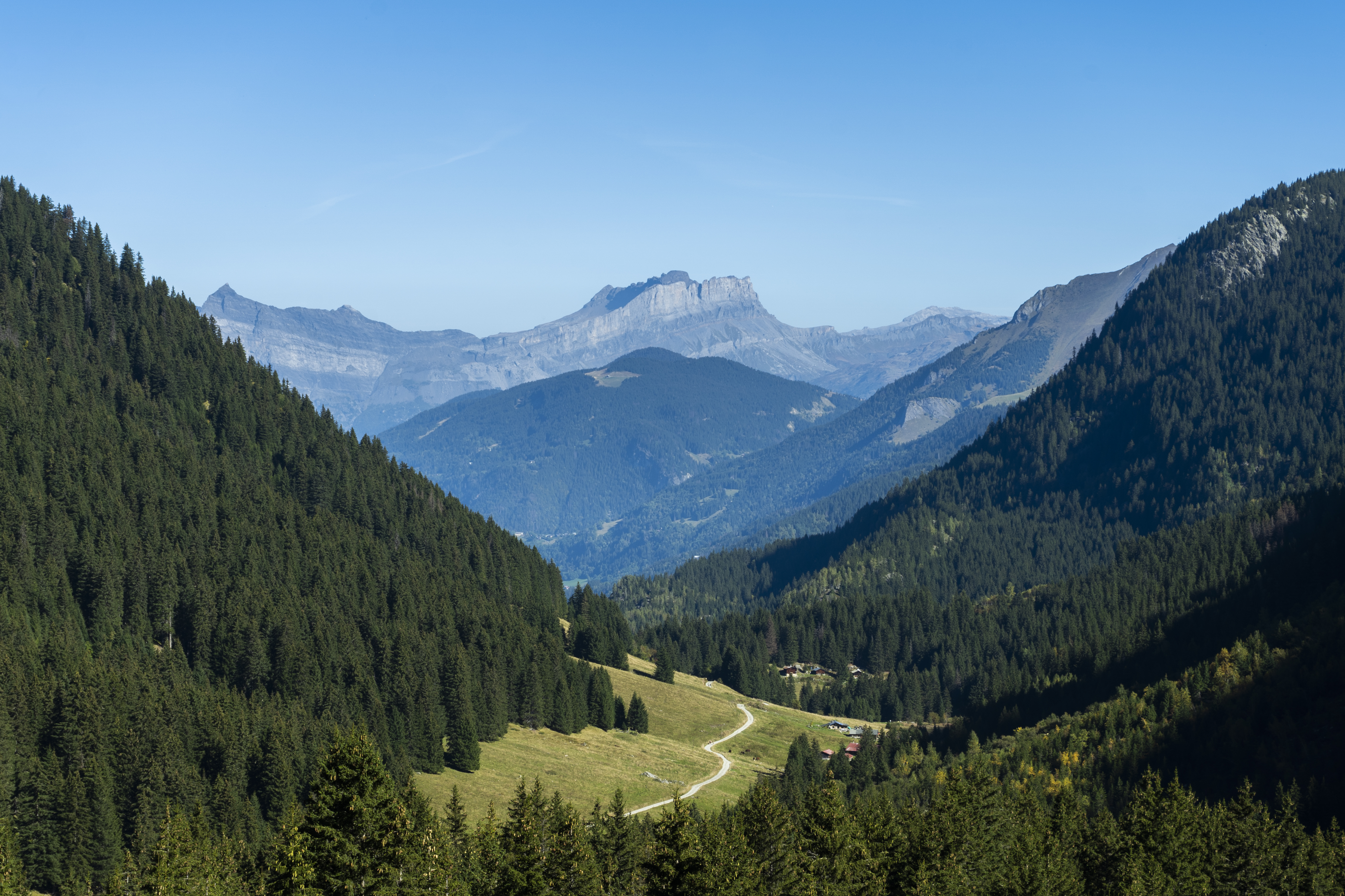 Mountains__Trail_And_Forest_original_1982976