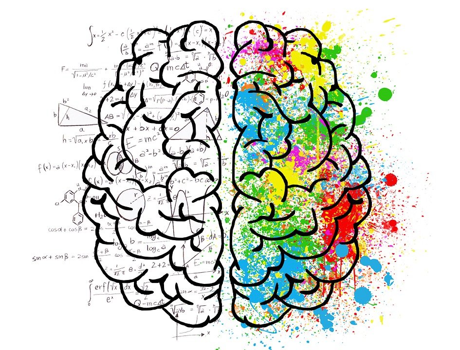 brain-2062057_960_720-2