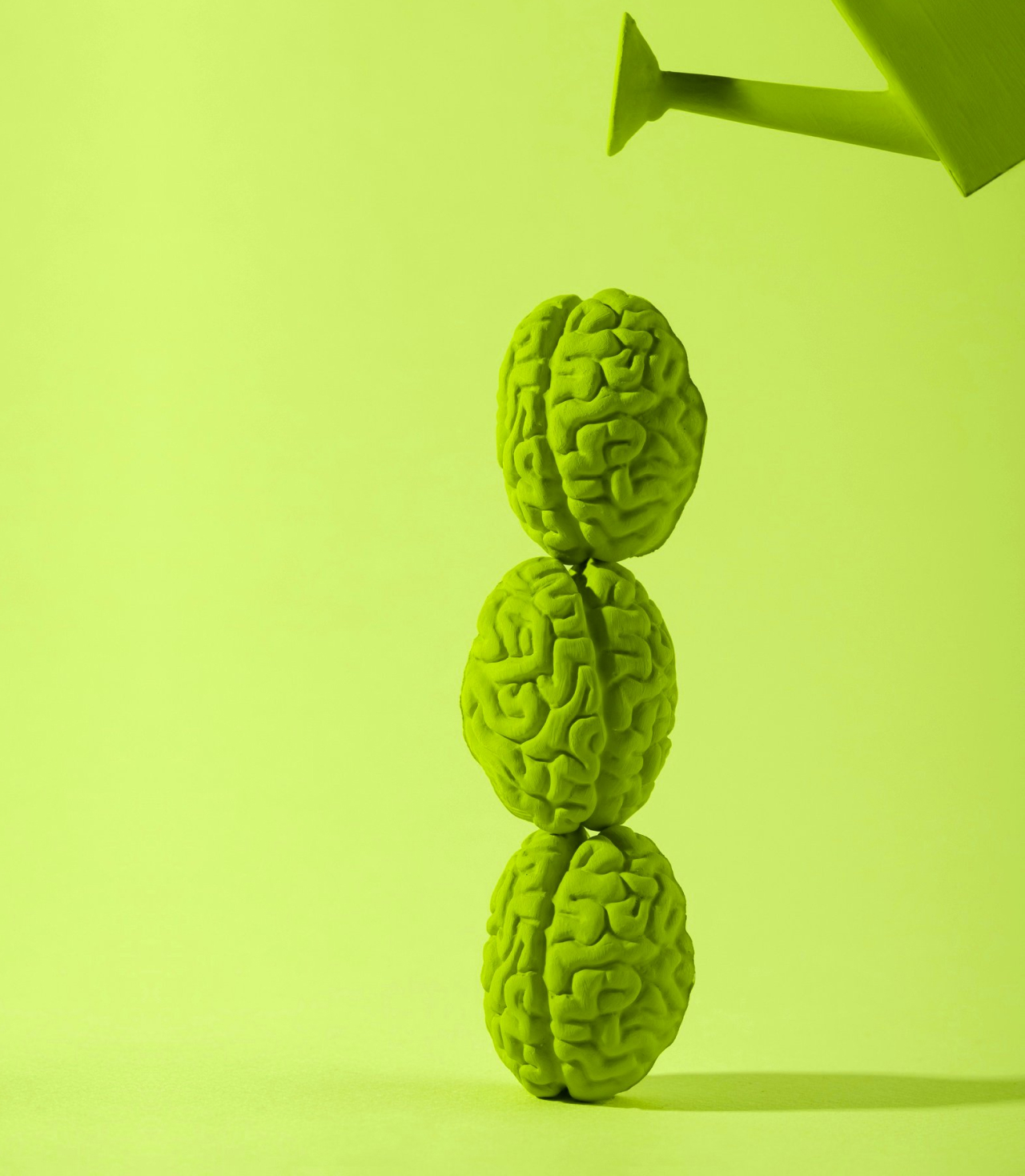 Intelligence émotionnelle