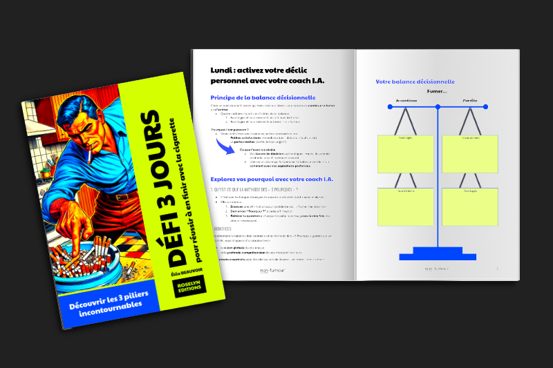 Carnet de bord pdf du défi 3 jours pour arrêter de fumer