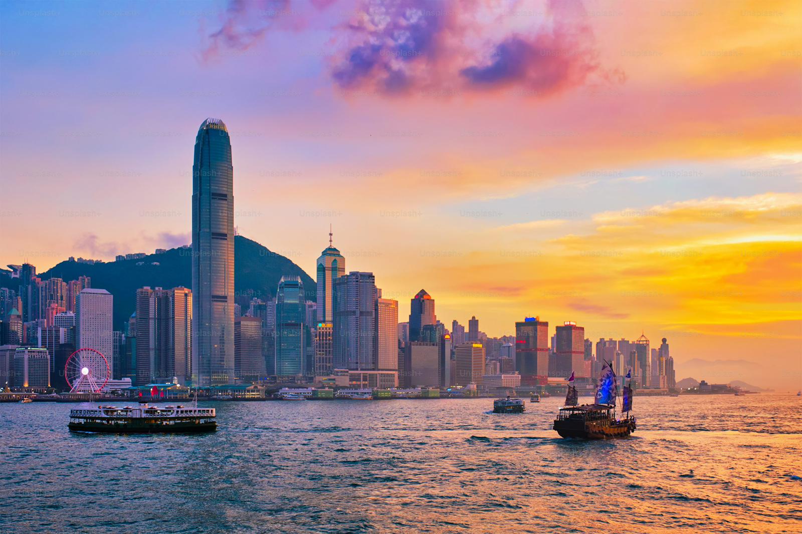 hong%20kong%20chine%20medi%20fly