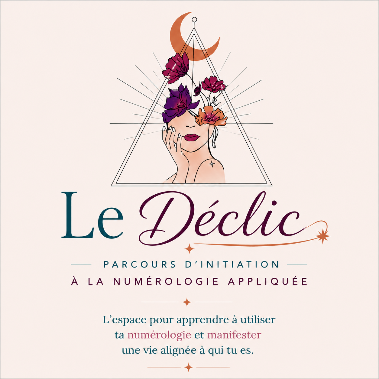 logo%20d%C3%A9clic%20formation%20carr%C3%A9