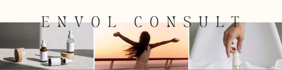 banniere%20envol%20consult