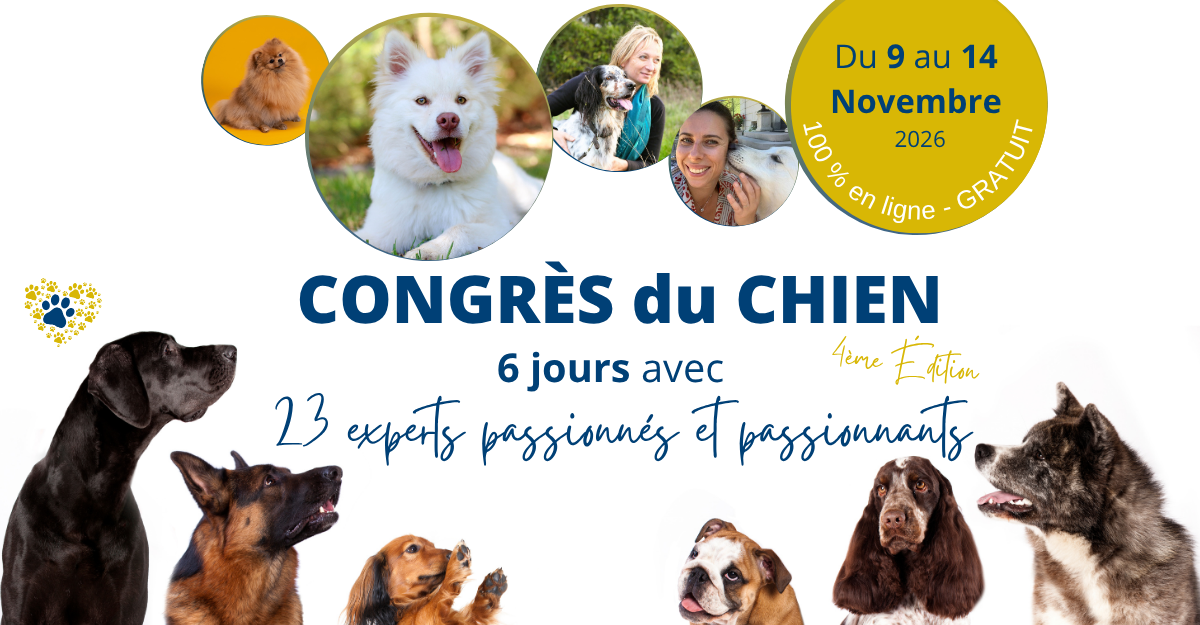 Congrès du Chien 2026 – 6 jours avec des experts passionnés – du 9 au 14 novembre, 100 % en ligne et gratuit