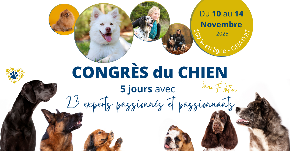 2025%20-%20visuels%20invitation%20Facebook