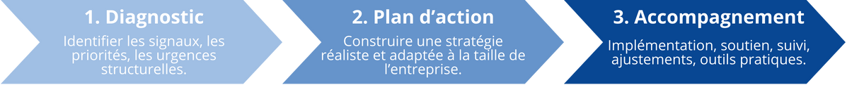 Comment se faire accompagner pour structurer son entreprise en 3 étapes par Potentiel Optimum