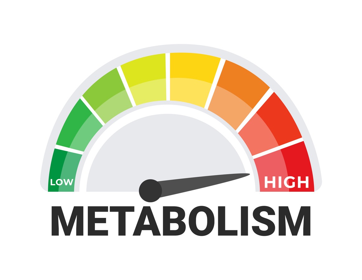 boost-metabolism boost-metabolism