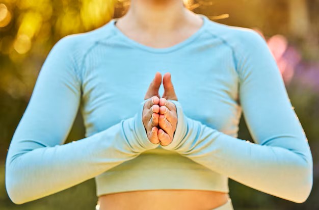 zen2 zen2