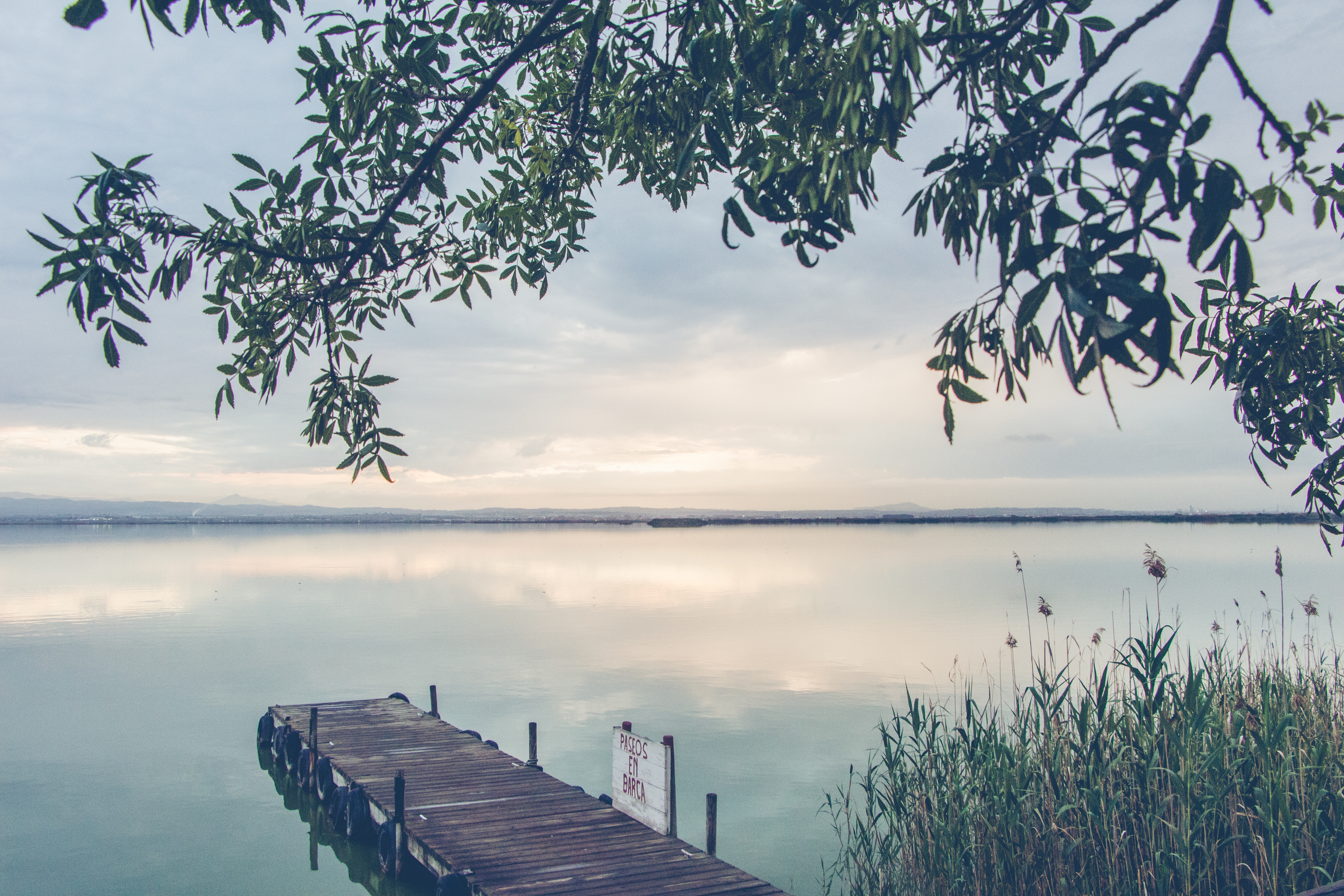 beau-paysage-d-un-quai-en-bois-au-bord-de-la-mer-entoure-de-plantes-vertes