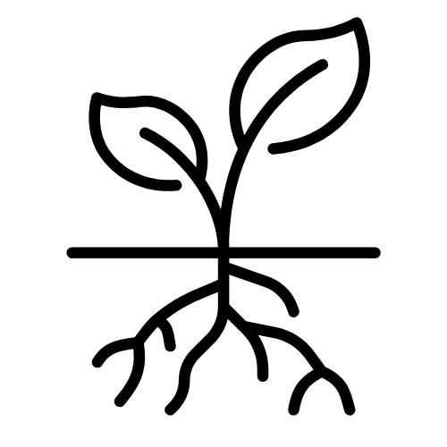 Design%20sans%20titre%20(1)