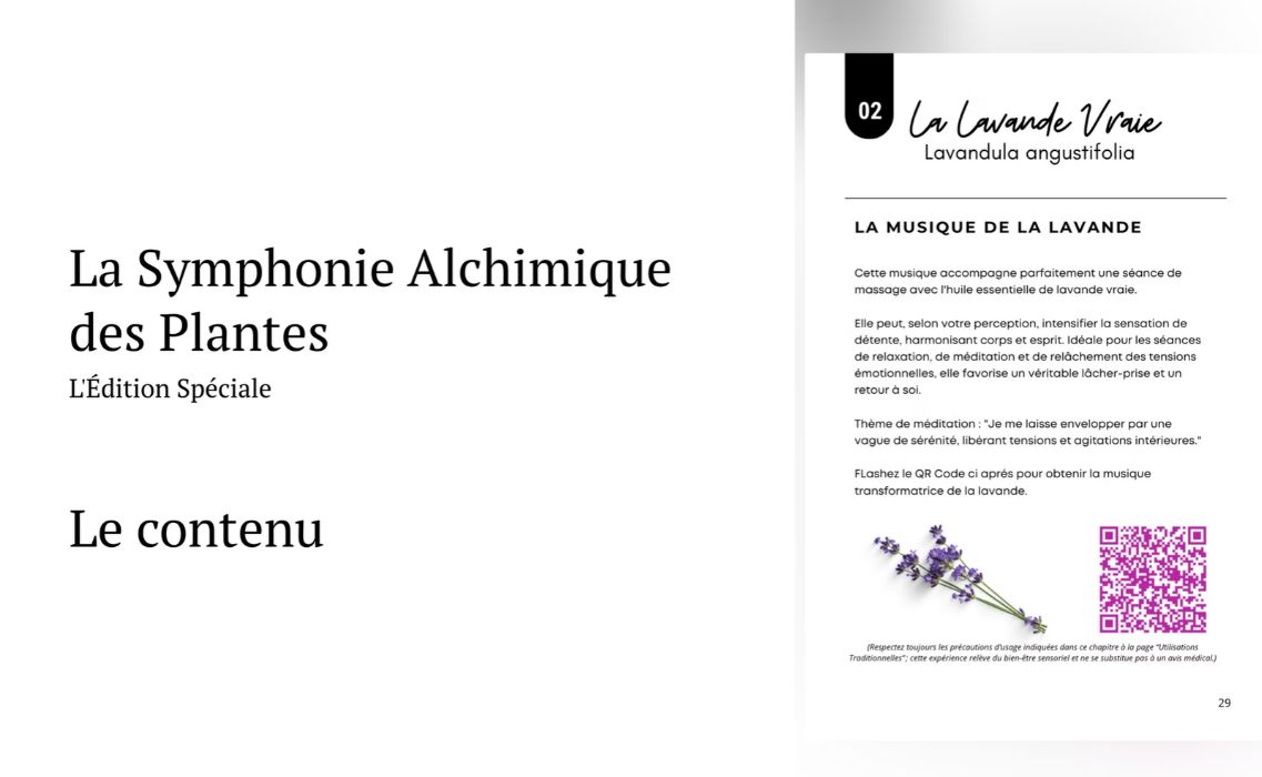 La symphonie de la lavande vraie