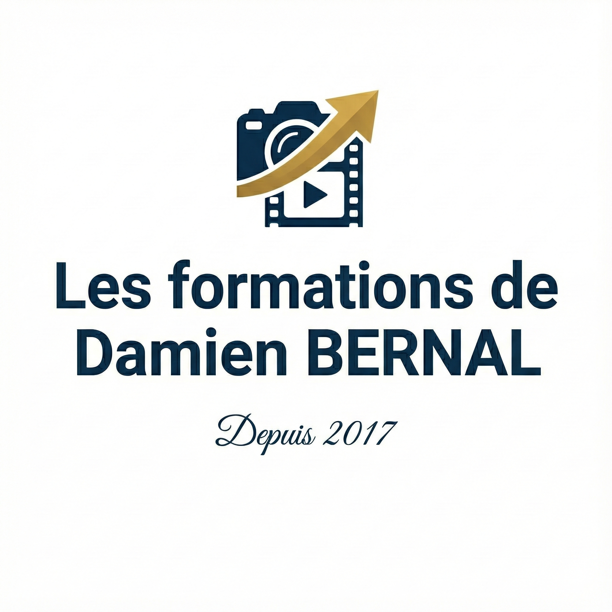 Les formations de Damien BERNAL