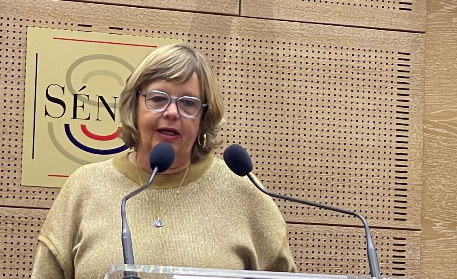 valerie%20broni%20senat%20sante%20integrative%20preventive