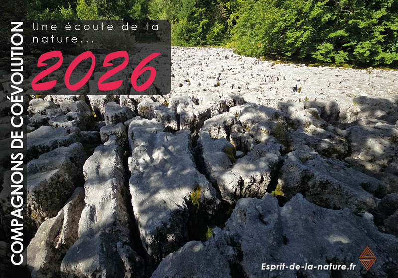 compagnon%20coevolution%202026