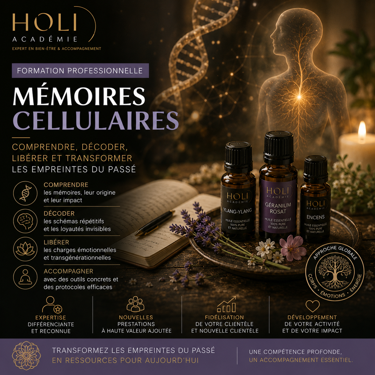 formation-memoires-cellulaires(1)