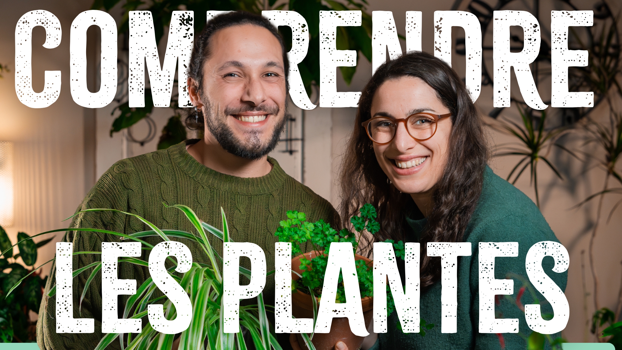 Comprendre%20les%20Plantes%20(miniature%20yt)
