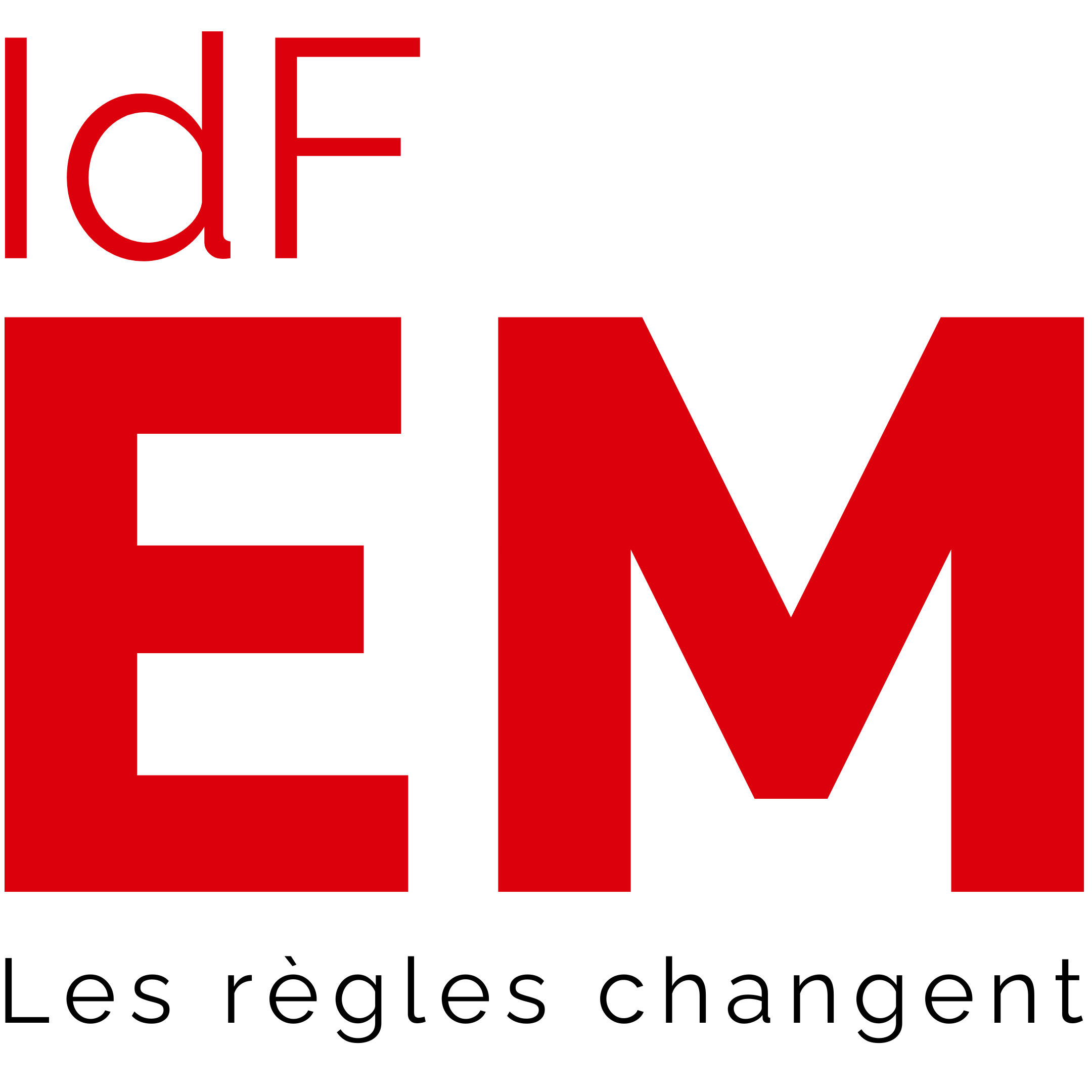 Logo%20IFdEM%20(1)
