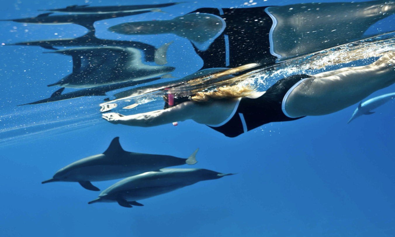 Capture%20d%E2%80%99e%CC%81cran%202024-01-18%20a%CC%80%2022_19_04