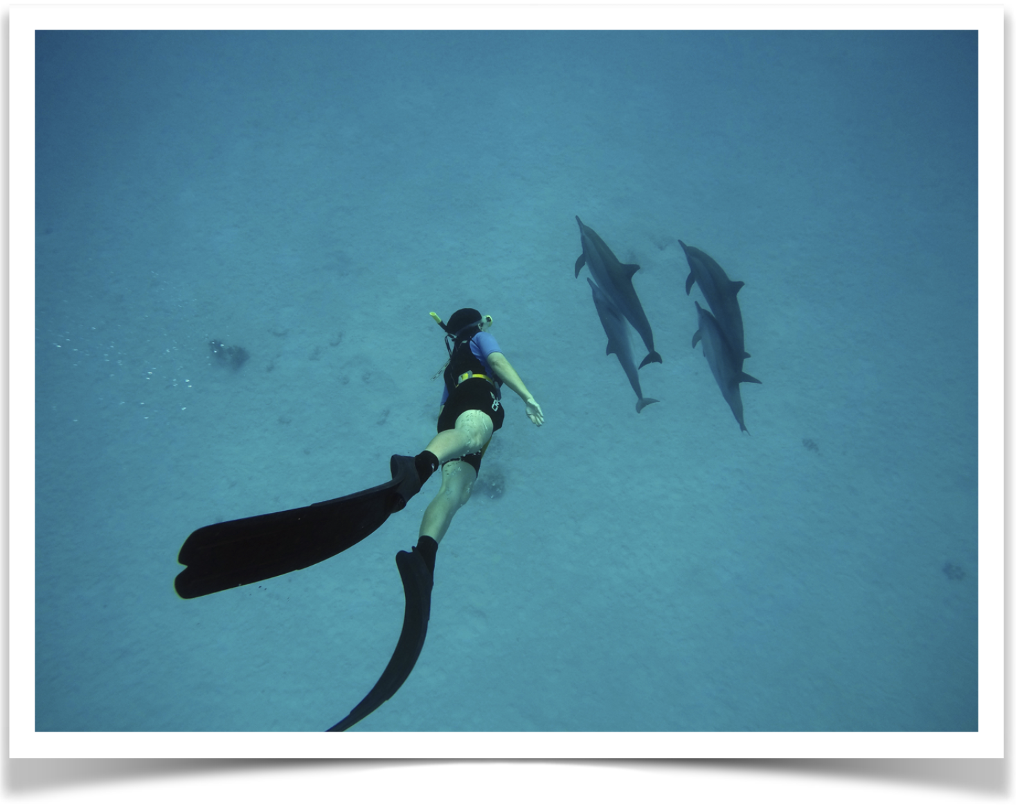 Capture%20d%E2%80%99e%CC%81cran%202024-01-18%20a%CC%80%2022_19_29