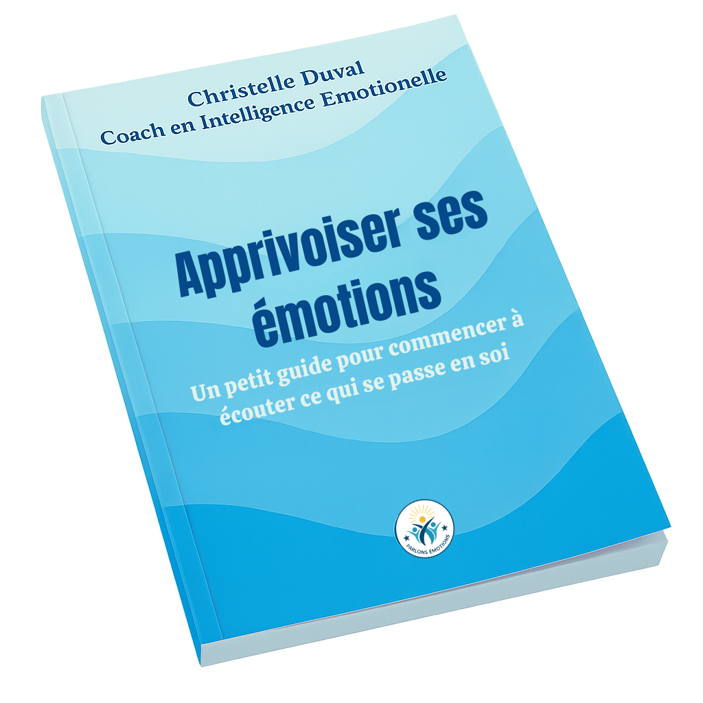 Ebook%20V3%20a%CC%80%20plat(1)