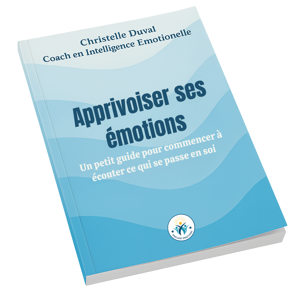 Ebook%20V3%20a%CC%80%20plat