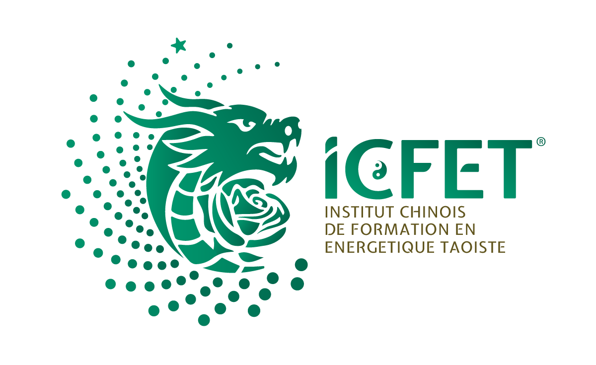 Formations ICFET