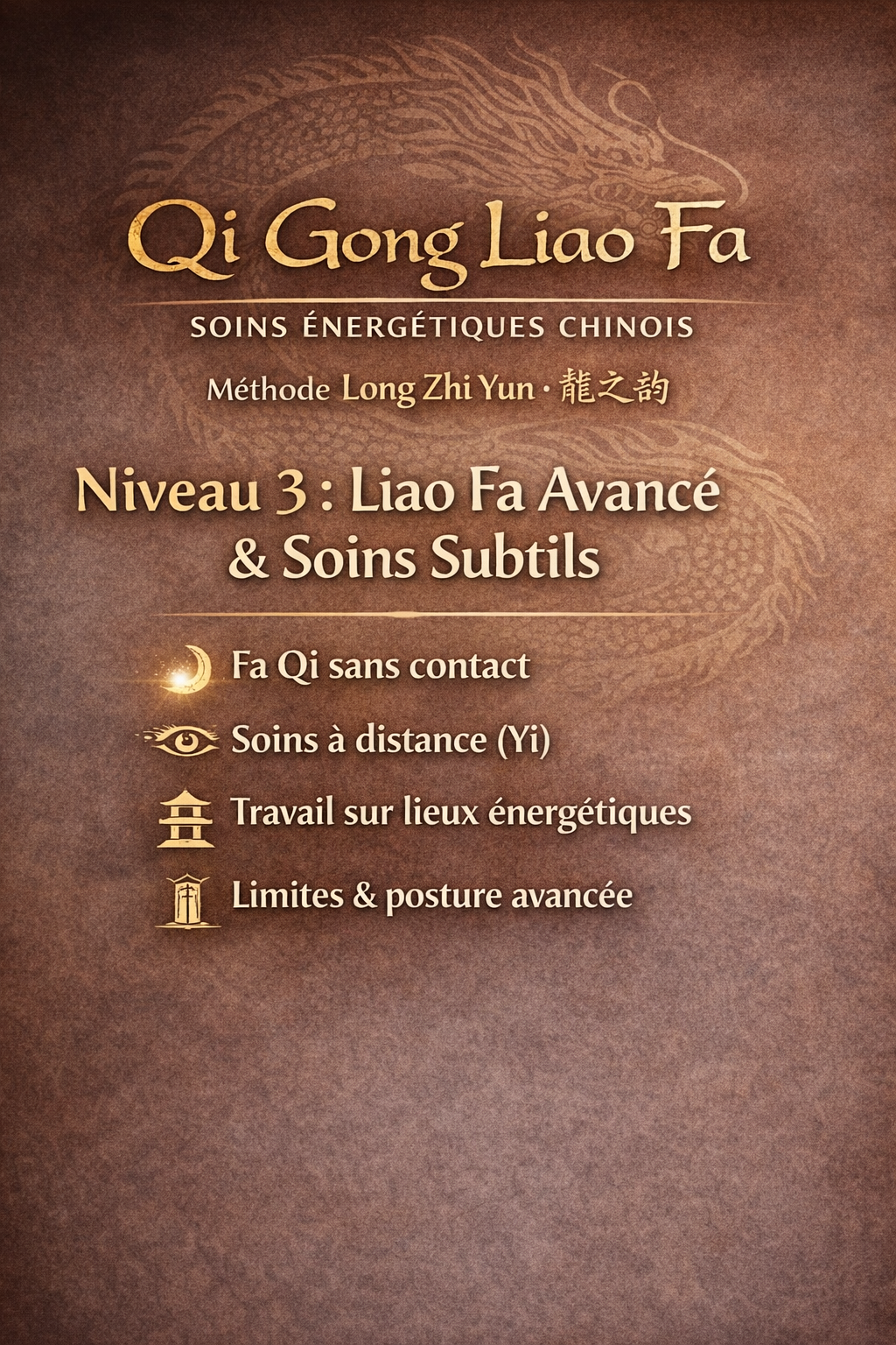 Formation Qi gong Liao FA