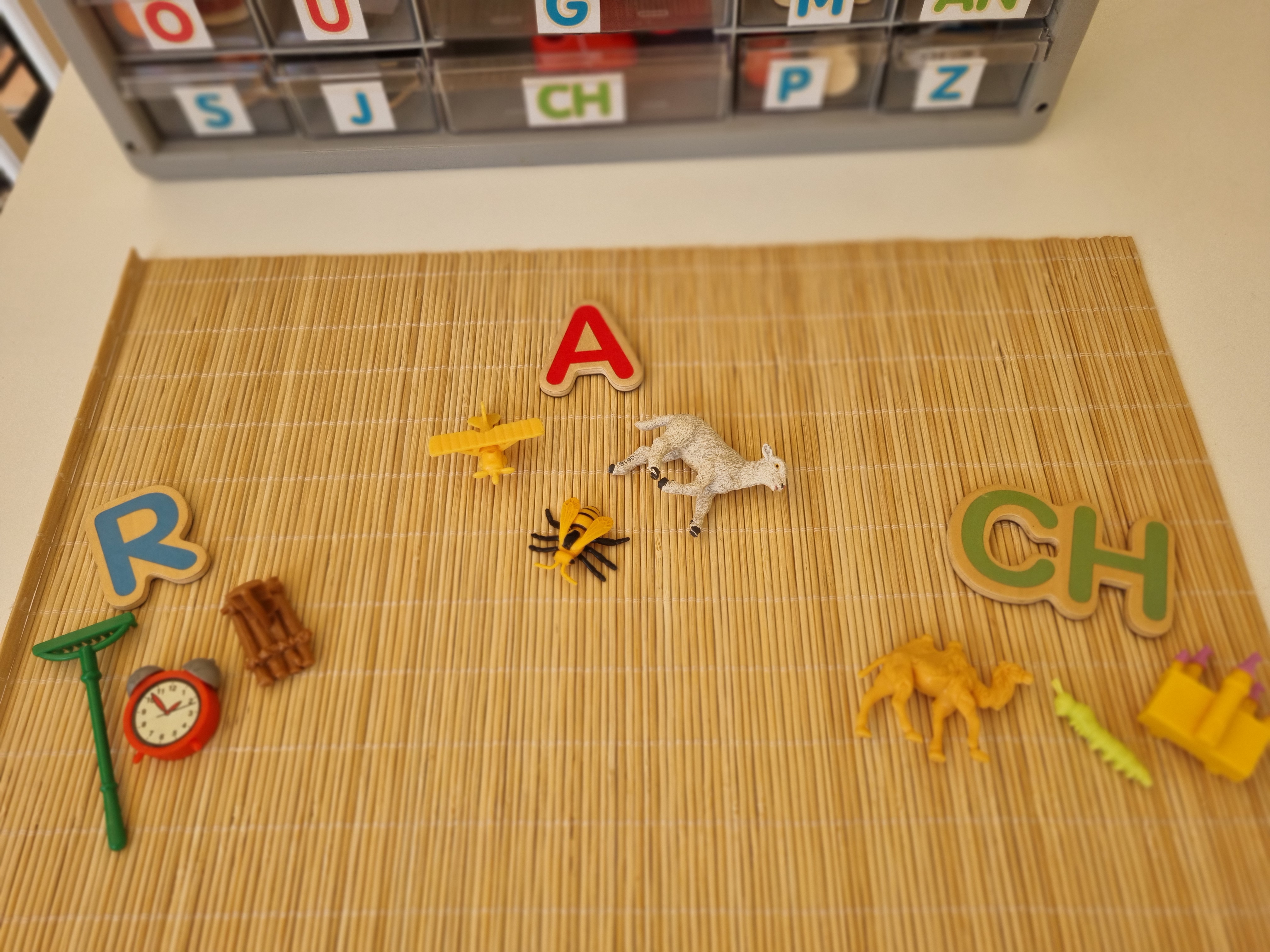 20240624_125449%5B1%5D