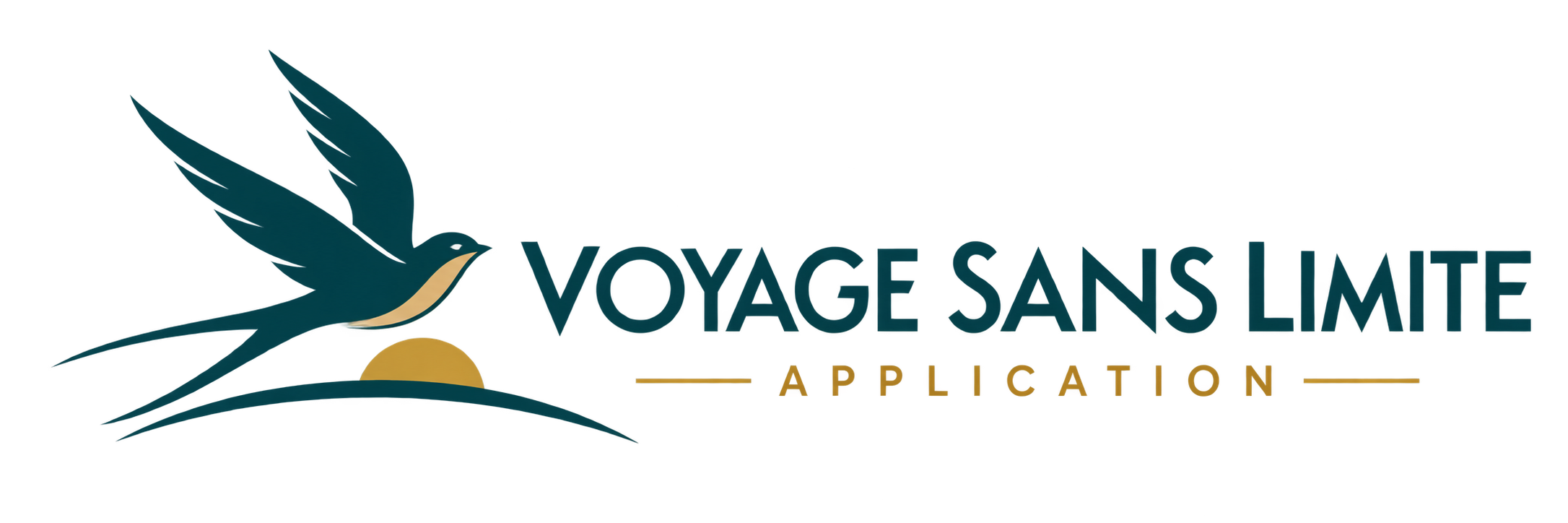 Voyage Sans Limite