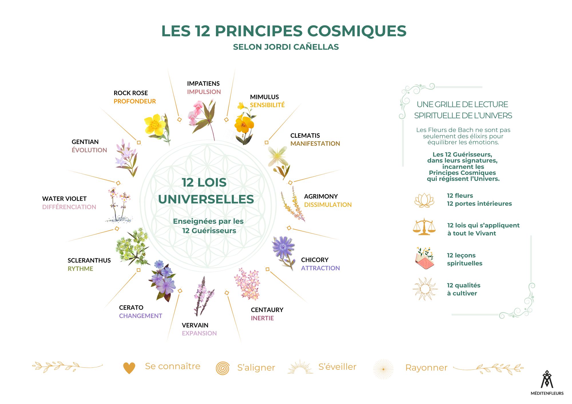 2-%20Infographie%2012%20principes%20cosmiques