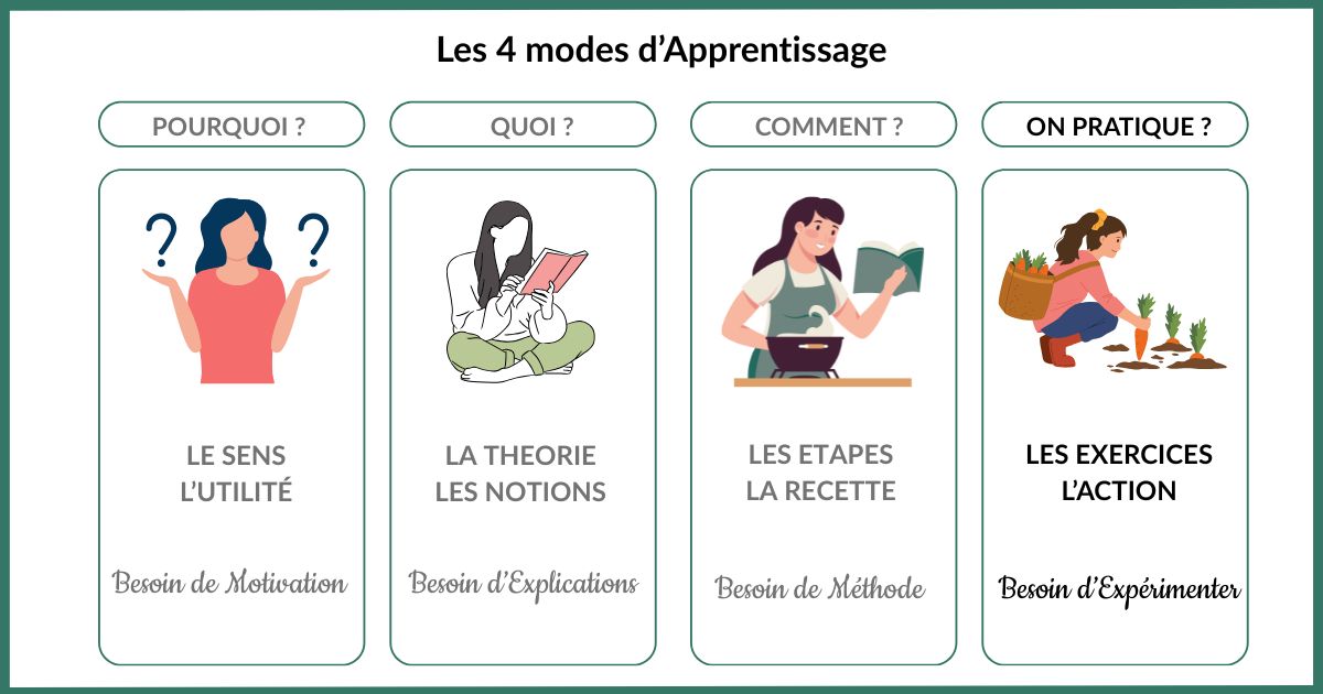2025-%20Visuel%20FLOREVISION%20-%20Les%204%20modes%20d_apprentissage