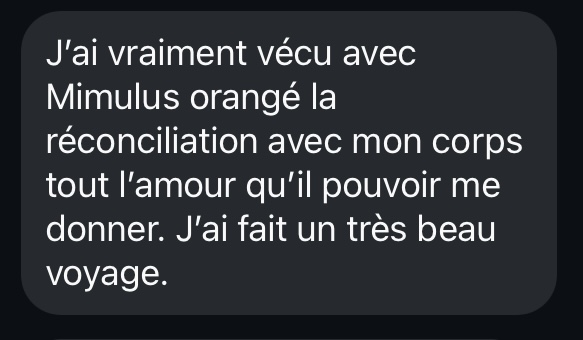 2026%20Te%CC%81moignage%20Club%20beau%20voyage