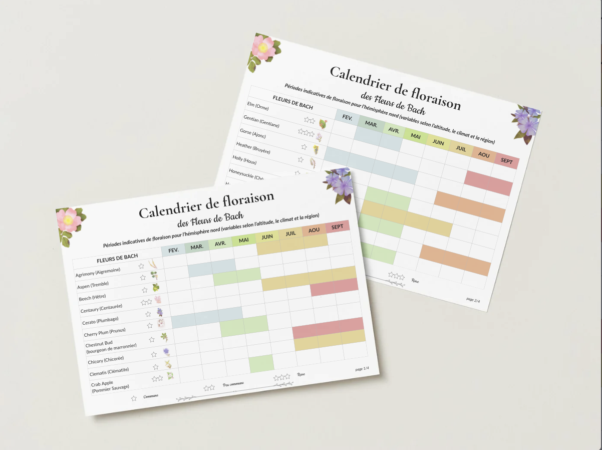 2026-05%20Vignette%20calendrier%20de%20floraison