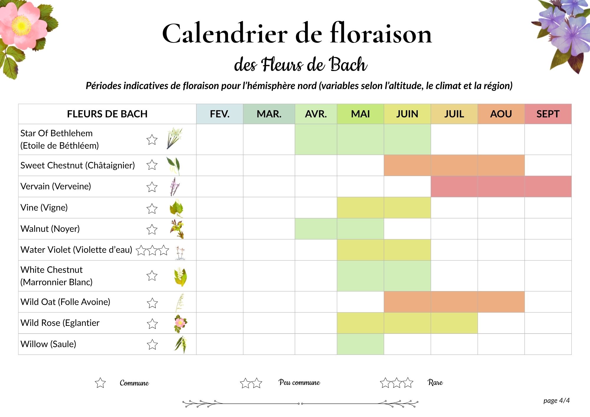 2026-05%20Visuel%201p%20calendrier%20floraison
