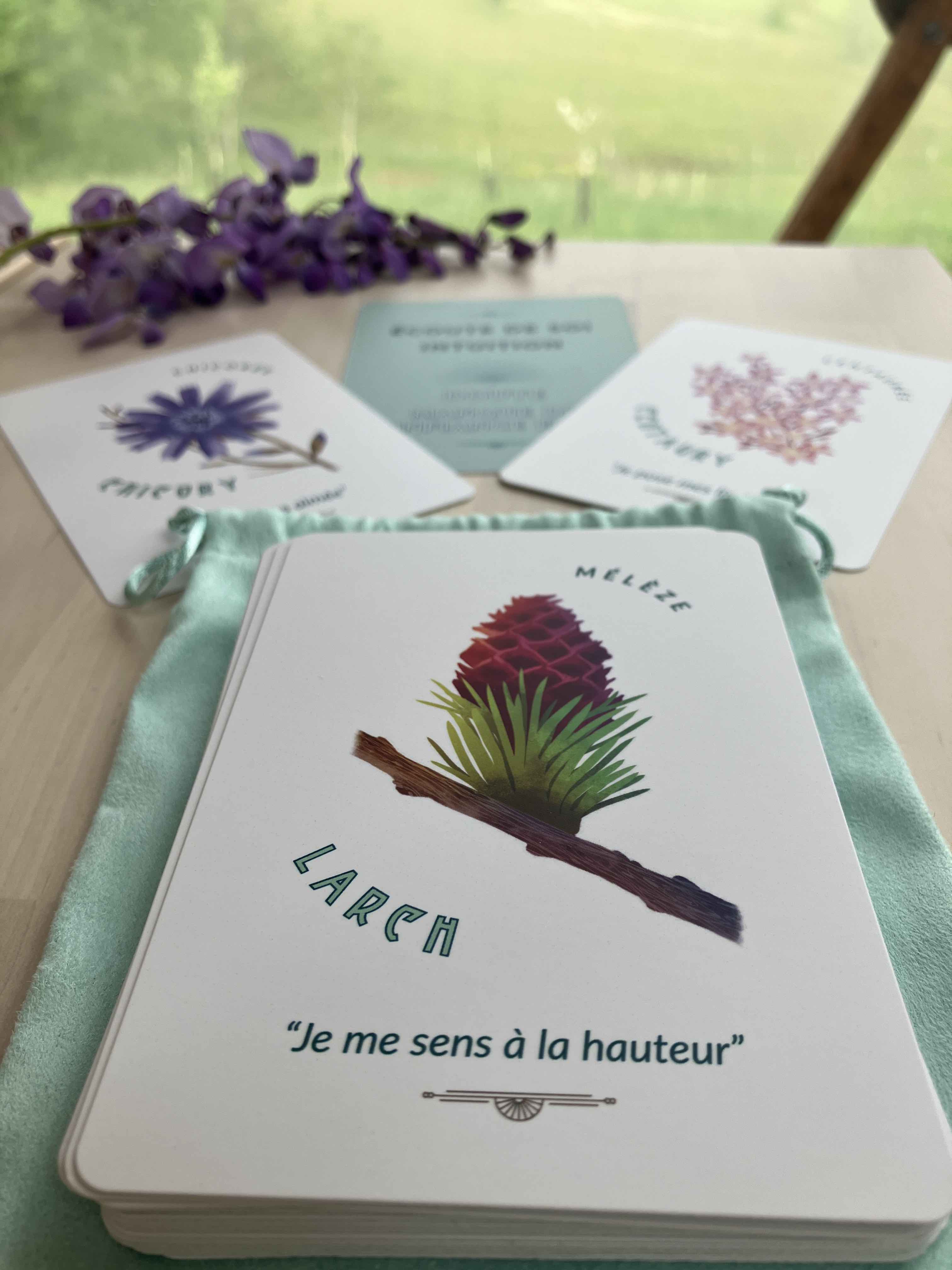 2026-05_%20Visuel%20jeu%20de%20cartes%20avec%20glycine%20dome