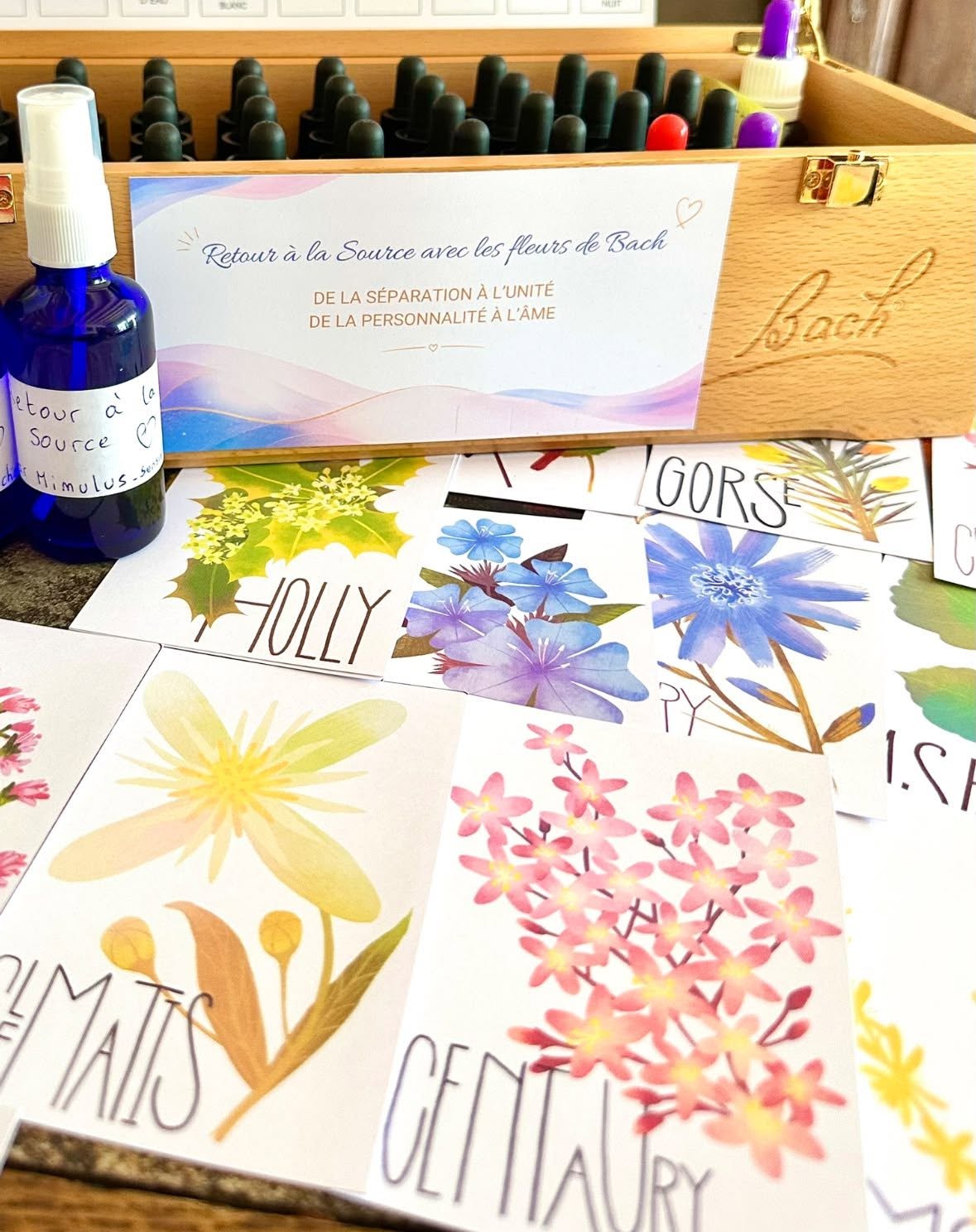 2026-07%20Ste%CC%81phanie%20coffret%20et%20flacons