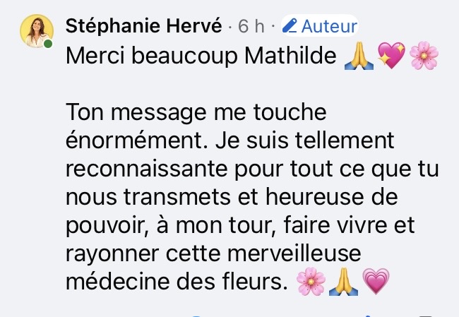 2026-07%20Stephanie%202