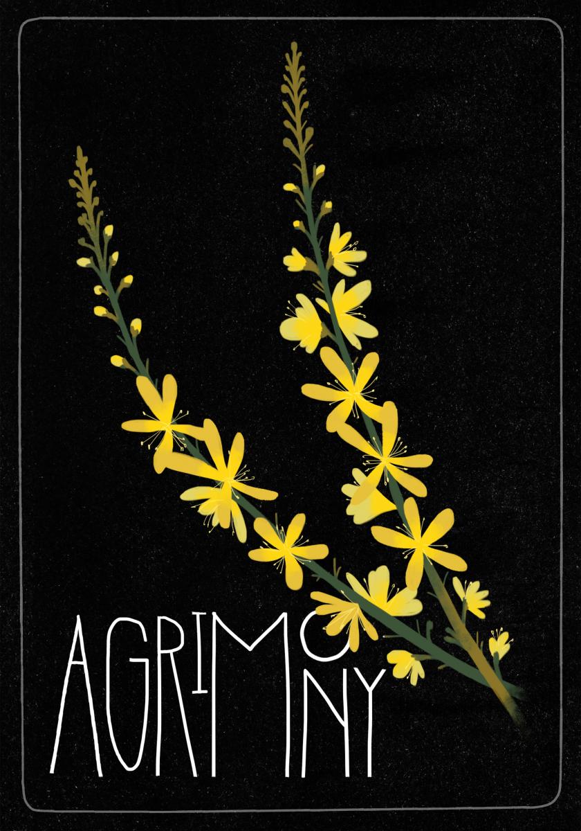 AgrimonyBlack