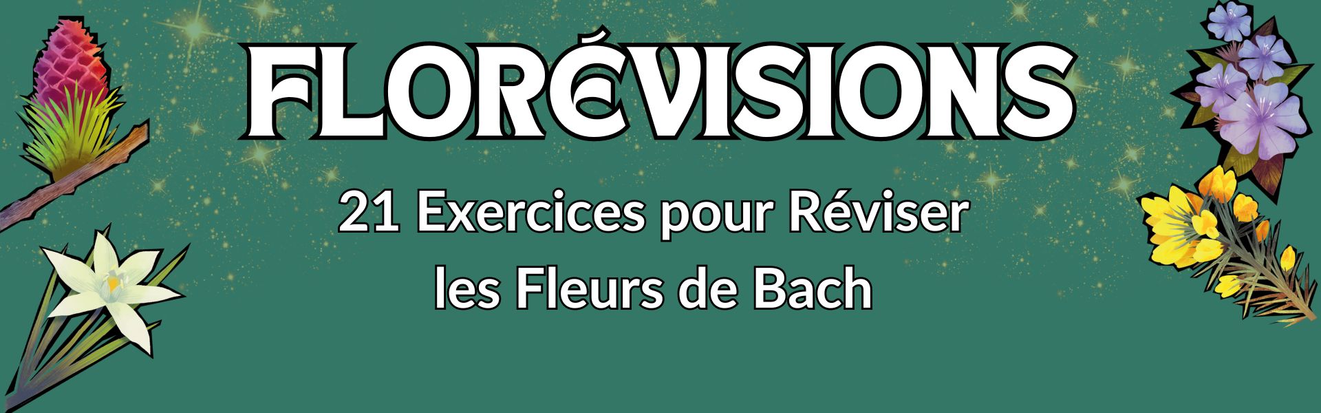 Fond%20ecran%20Florevisions2