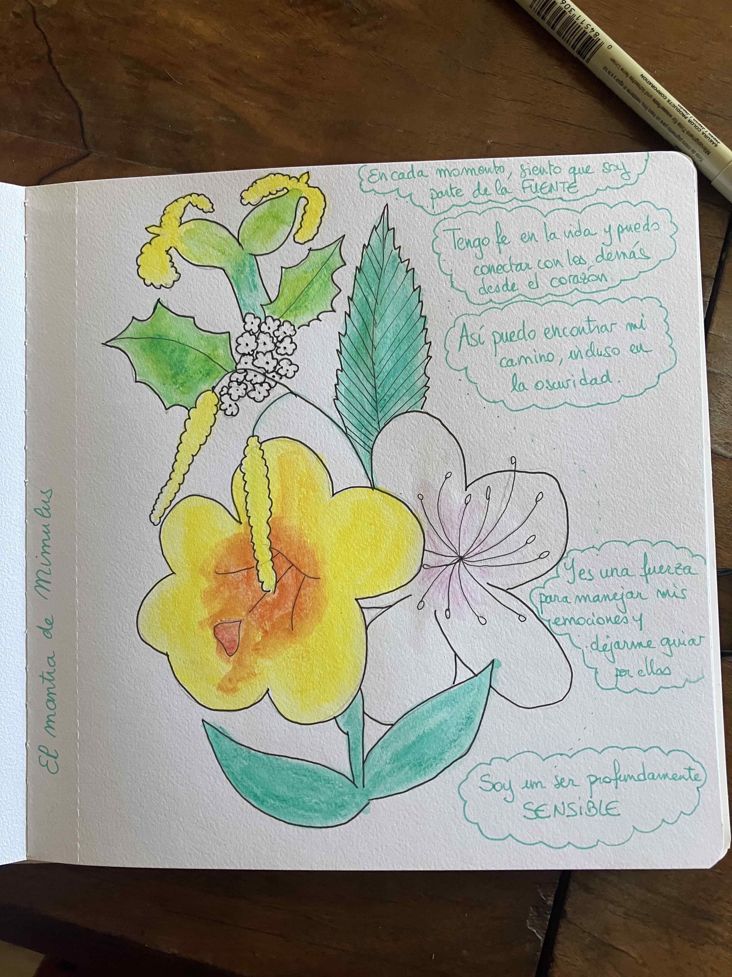 Mantra%20mimulus%20espagnol%20LT