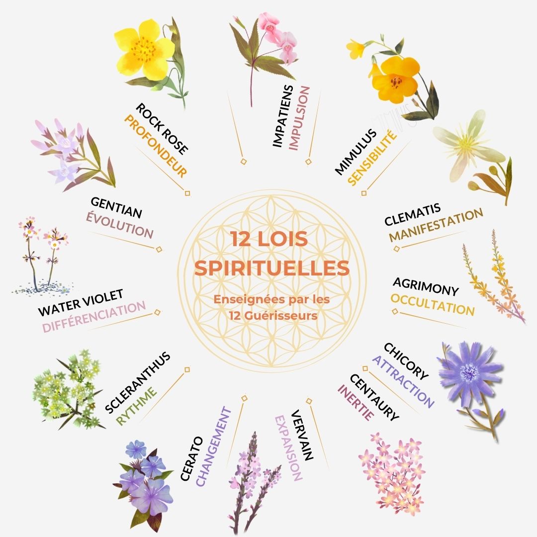 Roue%20des%20principes%20cosmiques%20sept%2026
