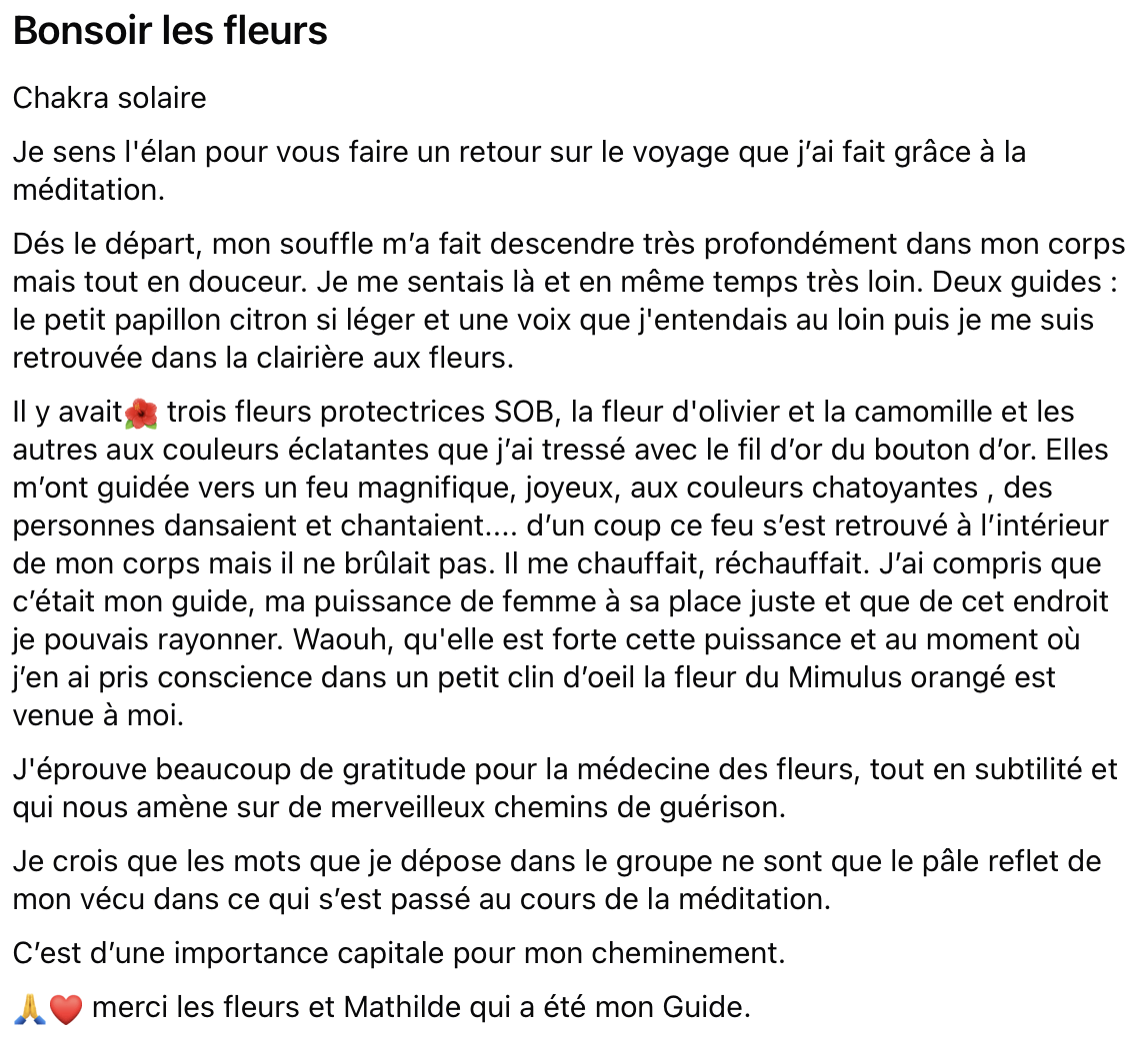 Te%CC%81moignage%20Franc%CC%A7oise%20me%CC%81ditation%20plexus%20Club